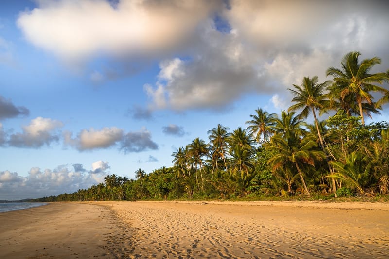 Hit the Road: 10 Unforgettable Road Trips from Brisbane