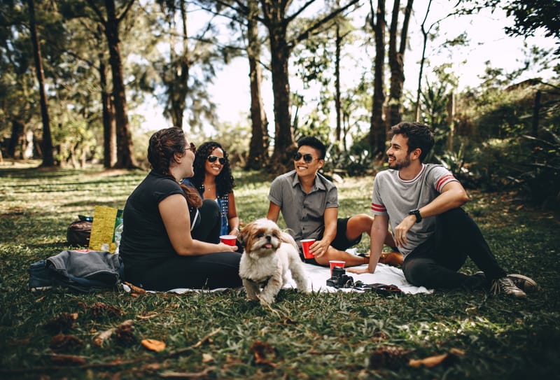 Your Guide to Fun & Frugal Adventures with Car Rental Brisbane