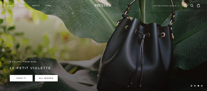 SSE #011: How to optimize a Shopify template