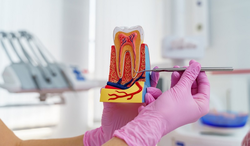 Understanding the Root Canal Process: Before & After Treatment Care