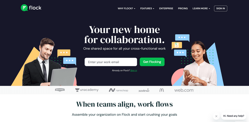 Top 20 Instant Messaging Platforms to Supercharge Your Business Communication - Flock