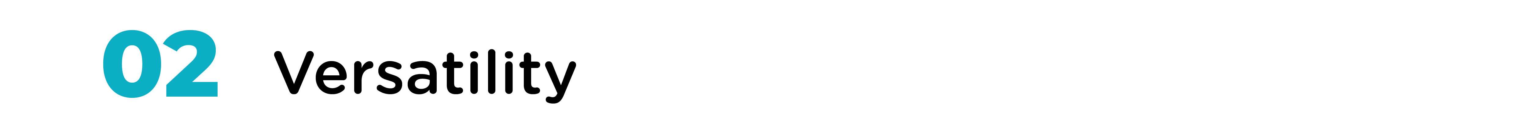 02. Versatility