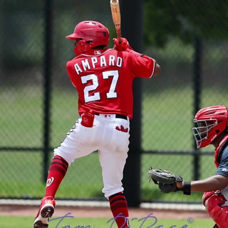 Yeuri Amparo - baseball coach in New York