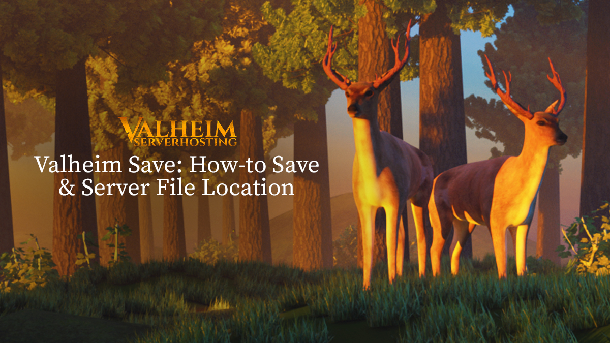 (2022) Valheim Save: How to Save & Server File Location