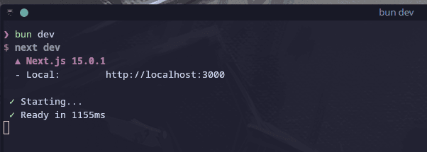Running bun dev to start our development server
