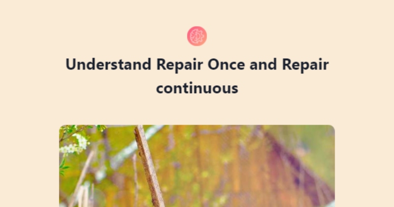 Understand Repair Once and Repair continuous