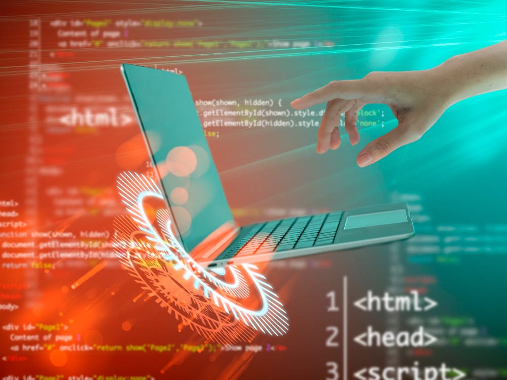 Accessibility and Inclusivity