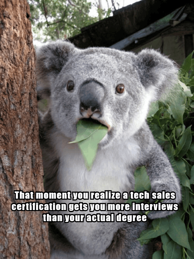 Benefits of Tech Sales Certifications