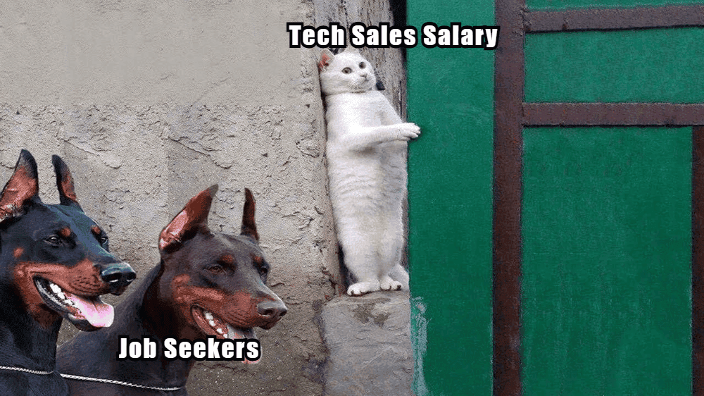 Maximizing Your Tech Sales Salary with Such Strategies