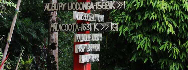 Queensland’s Unique Native Flowers | Flowers Across Brisbane 