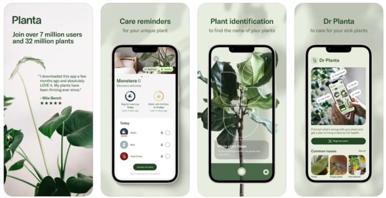 Top 12 Gardening Apps to Help Your Flowers Thrive