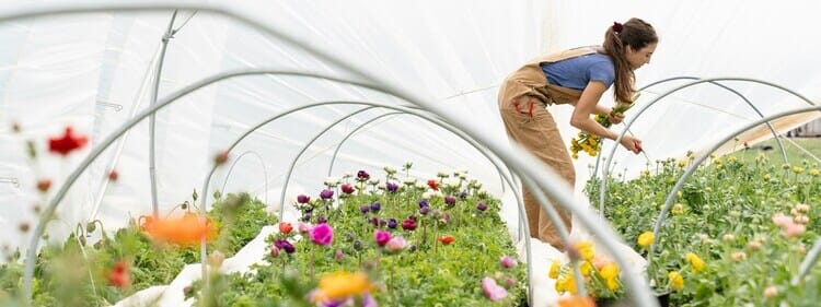 A Complete Guide to Websites that Make You a Better Flower Gardener