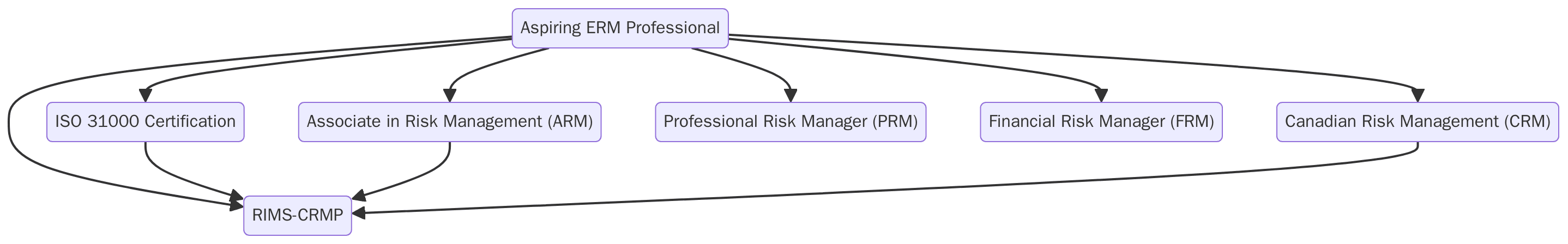 ISO 31000 Risk Management Framework
