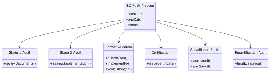 ISO audit process