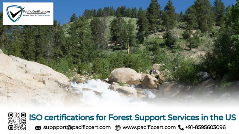 ISO Certifications for Forest Support Services in the US, Requirements and Benefits 