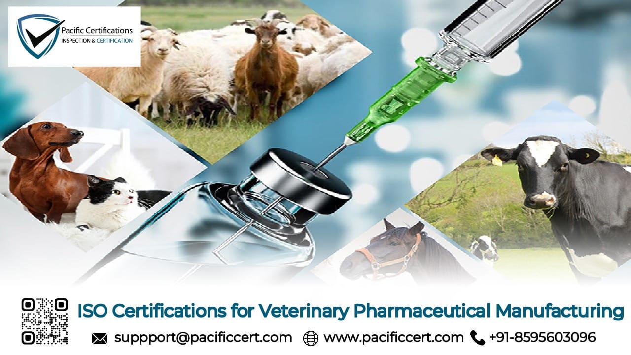 ISO Certifications for Veterinary Pharmaceutical Manufacturing Businesses, Requirements and Benefits