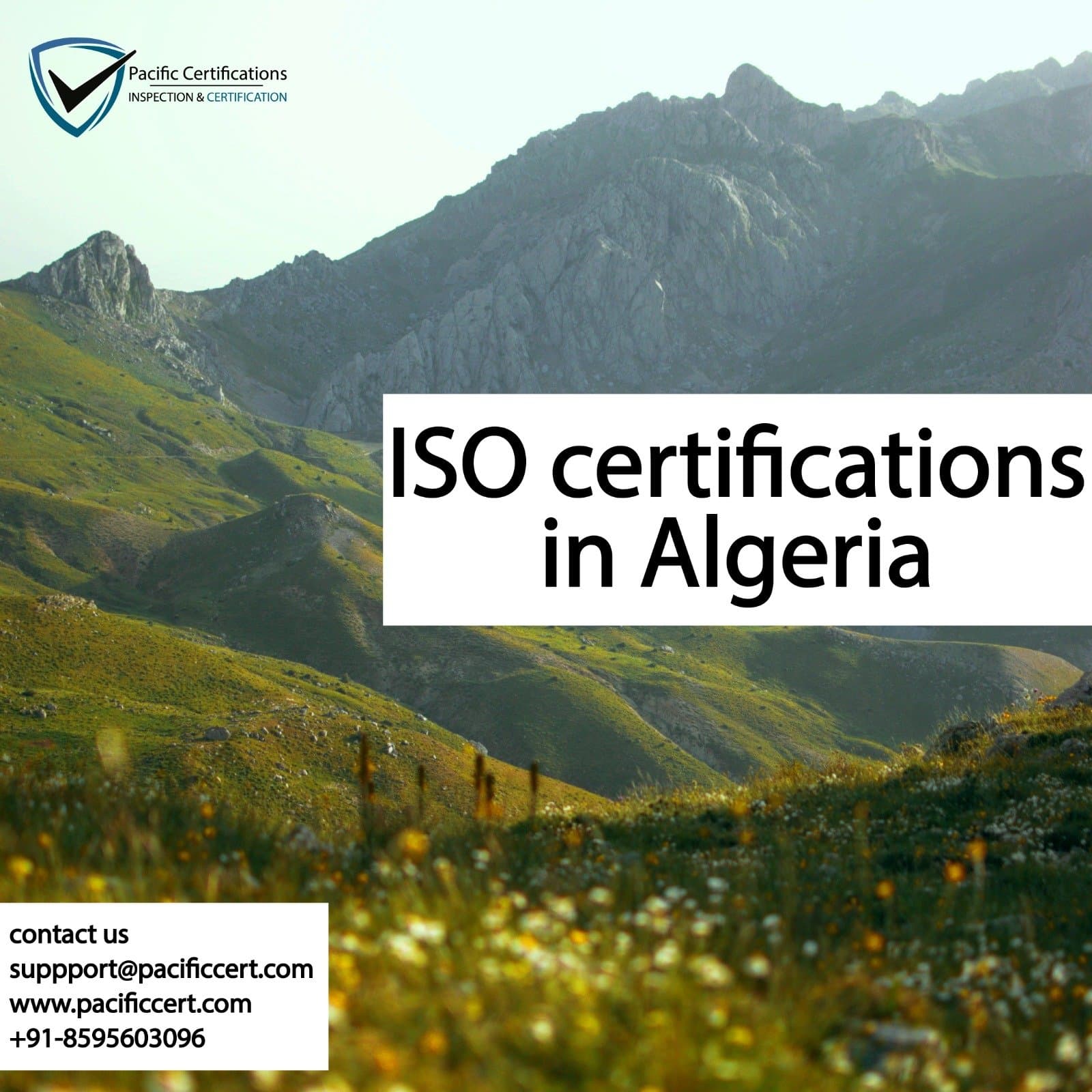 ISO Certifications in Algeria, Popular Standards, Requirements and Benefits