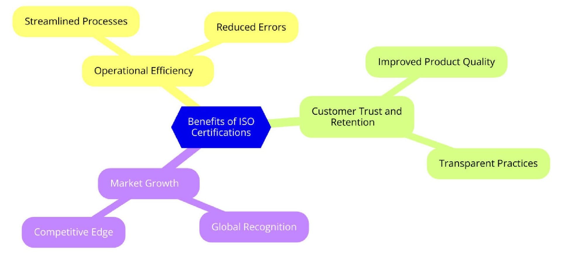 Benefits of ISO Certifications for Online Pet Food and Pet Supply Services