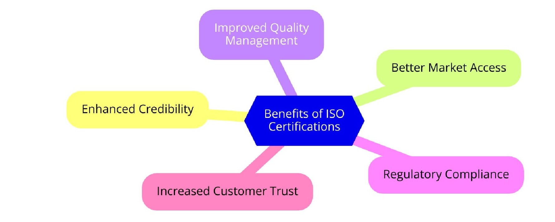 Benefits of ISO Certifications for Veterinary Pharmaceutical Manufacturing