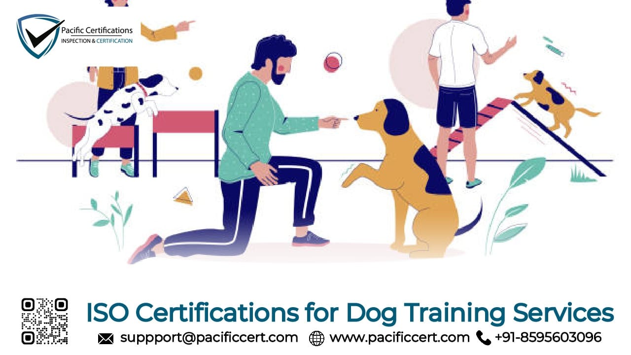 ISO Certifications for Dog Training Services, Requirements and Benefits