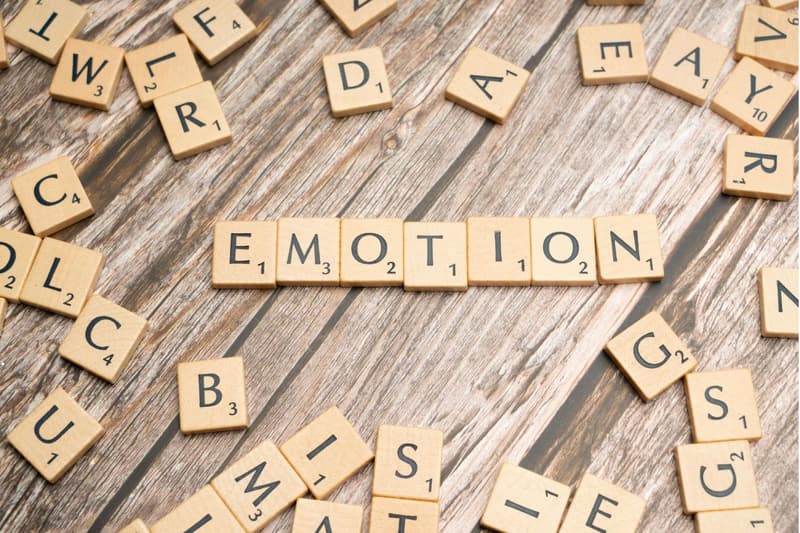 efficiency  vs emotions 