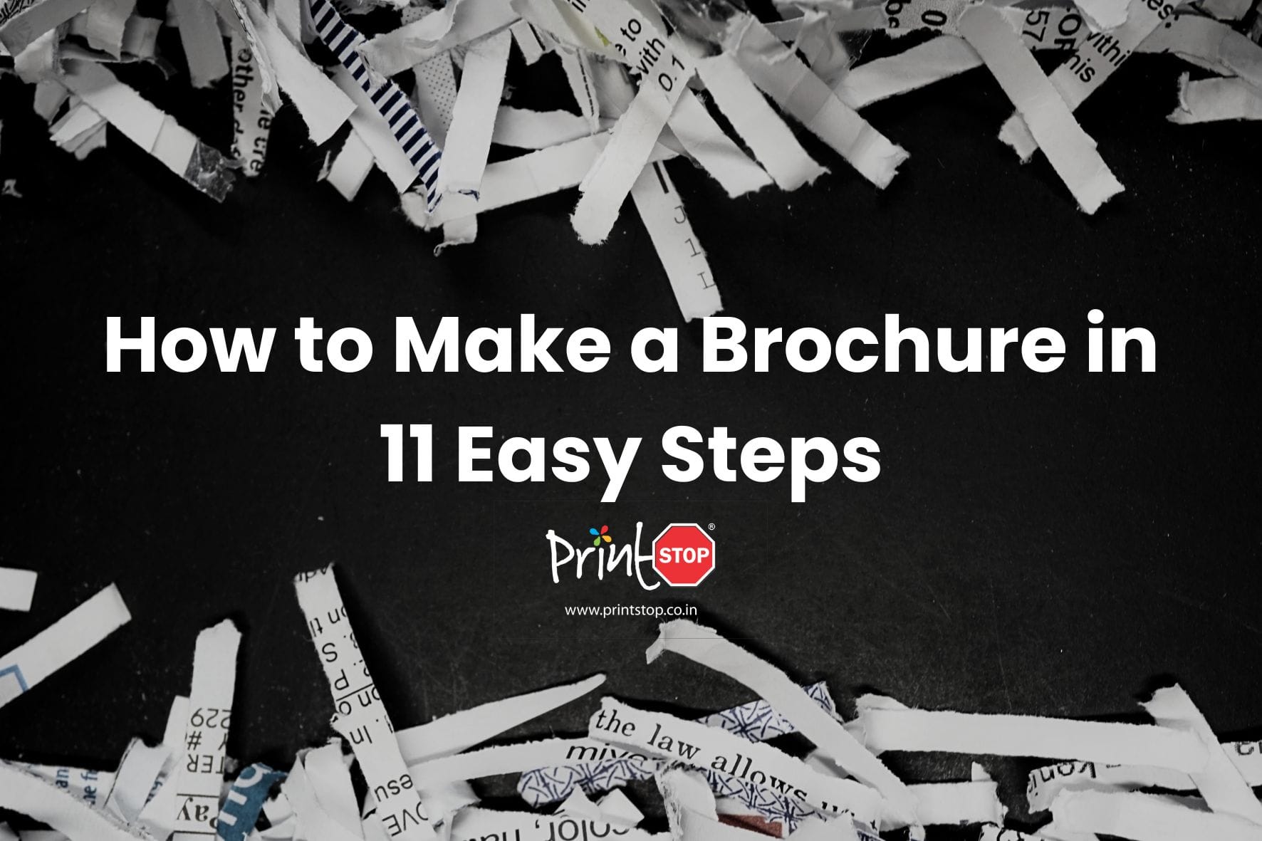 How to Make a Brochure in 11 Easy Steps