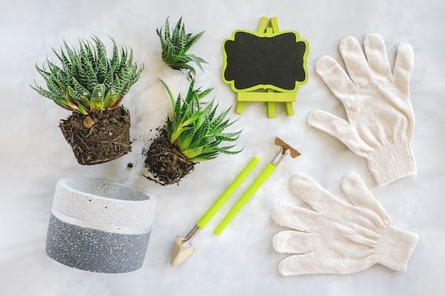 Transplanting indoor flowers and houseplant. Sprouts of succulents, concrete pot, white gloves, tools and frame.