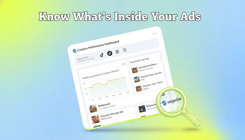 Segwise creative analytics dashboard showing tag-level performance data across ad networks