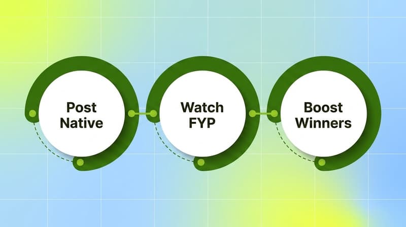 Three-ring process flow showing TikTok organic seeding cycle: post native, watch FYP, boost winners