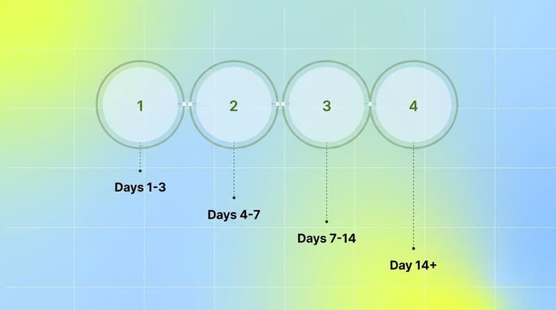 Four numbered circles showing the AppLovin launch timeline phases from days 1-3 through day 14 plus