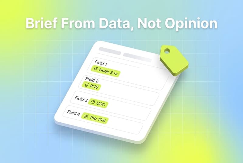 How to Write Data-Backed Creative Briefs With Templates and Examples