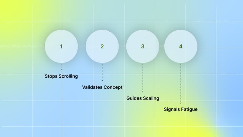 Why Hook Rate Matters?