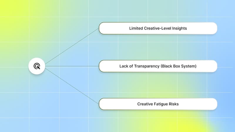 Where Advantage+ May Fall Short