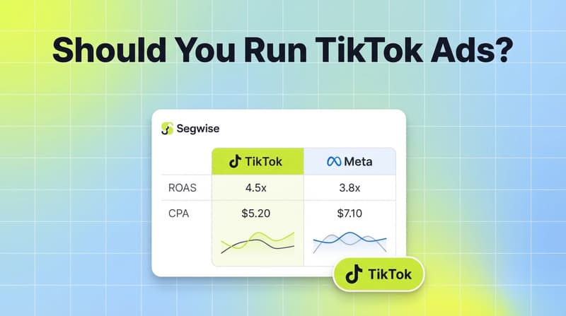 Segwise dashboard showing TikTok vs Meta ad performance comparison with TikTok platform badge accent