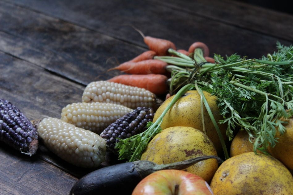 Eatwith's Eco-Hero Initiative: A Delicious Path to Sustainability