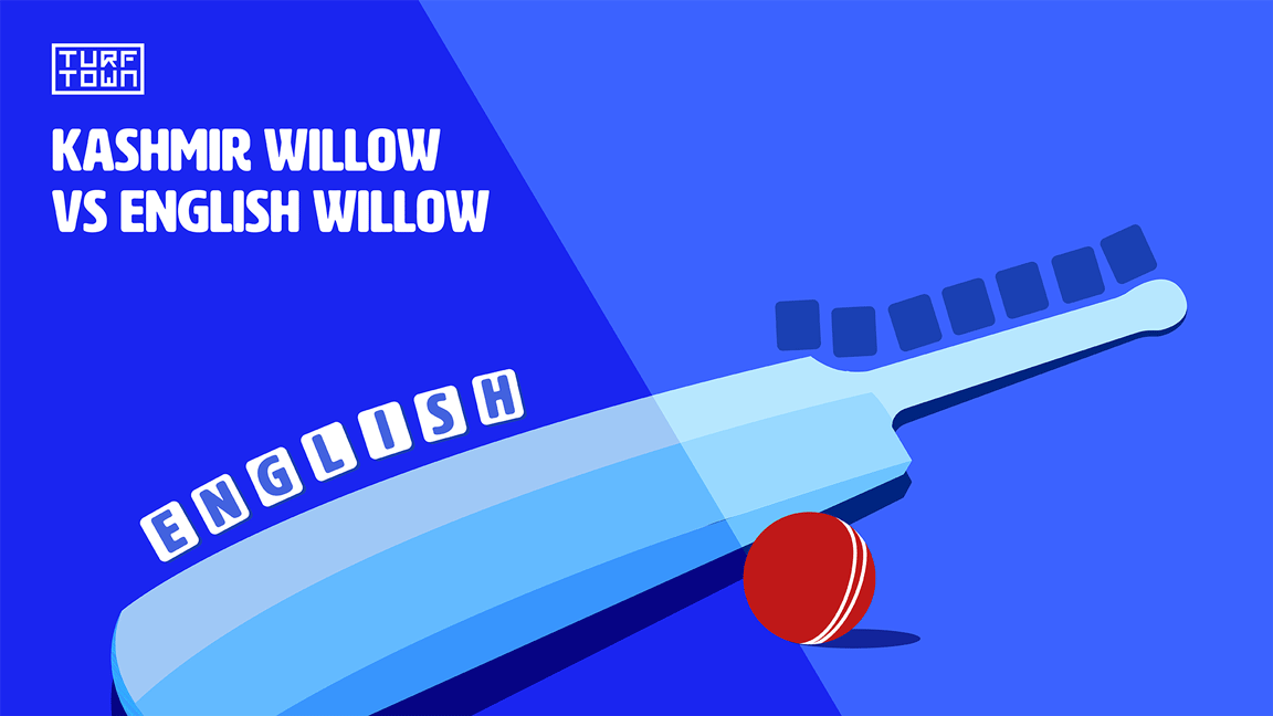 Kashmir Willow vs English Willow: Which Cricket Bat is Best?