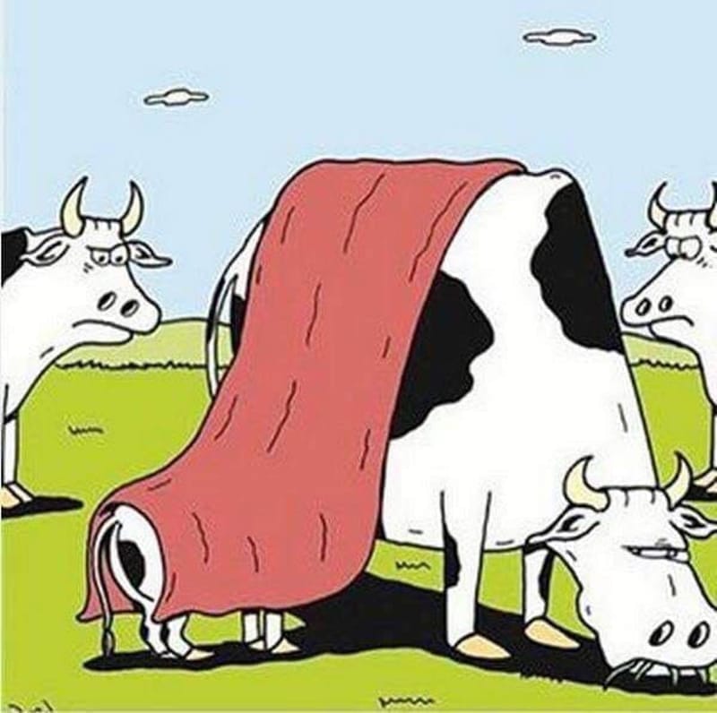 Wanted: Weak Christians (3 of 5)