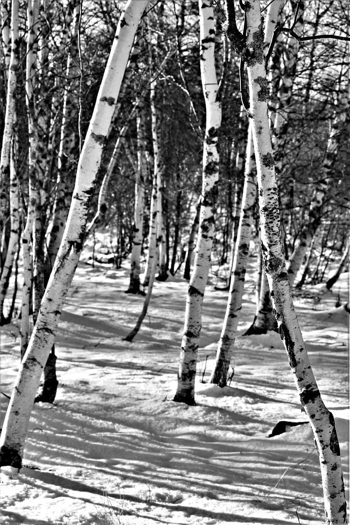 Photo Credit: Maria Duynisveld via Compfight cc 