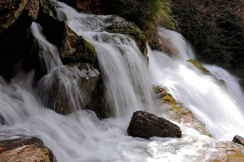 Life Thirst: L’Chaim [Poem by Mom]