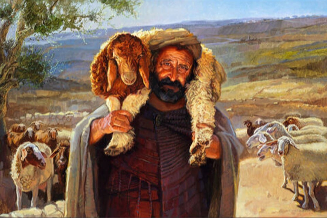 Church Leadership: Shepherds, Sheep, and the Good Shepherd