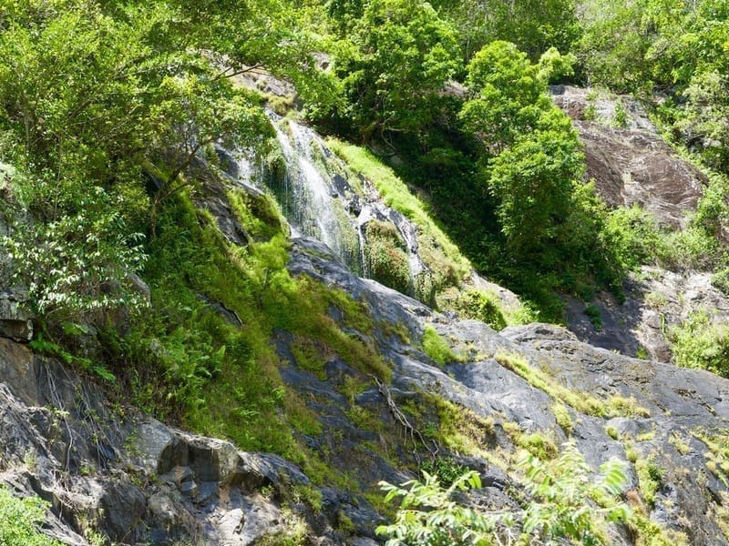 Like Spring [Poem by Mom]