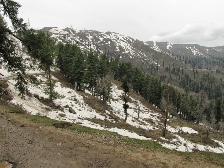 Kashmir tour for seniors