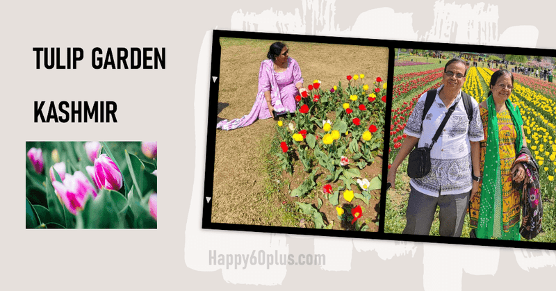 Tulip Garden Srinagar