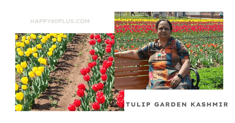 Tulip Garden Kashmir: Srinagar Tulip Festival