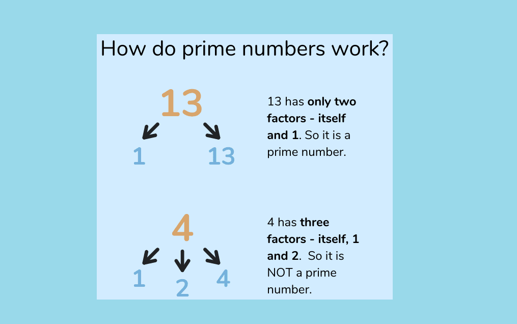 java exercises prime number checker: various operations for string str in output