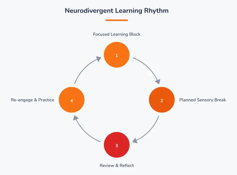 Neurodivergent Learning Rhythm. Cycle: Focused Learning Block, Planned Sensory Break, Review & Reflect, Re-engage & Practice.
