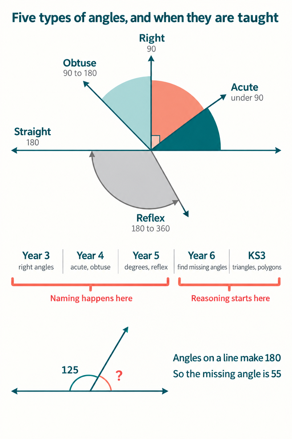 Infographic showing five angle wedges fanning from a single vertex labelled acute, right, obtuse, straight and reflex with their degree ranges, a year-group strip from Year 3 to Key Stage 3 marking where naming ends and reasoning begins, and a worked missing-angle example