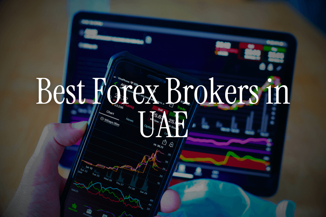 Best Forex Brokers in UAE