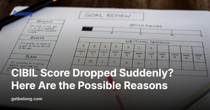 CIBIL Score Dropped Suddenly? Here Are the Possible Reasons
