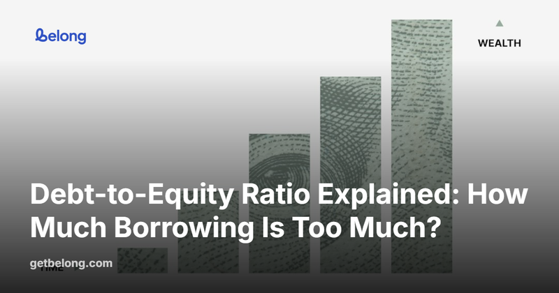 Debt-to-Equity Ratio Explained: How Much Borrowing Is Too Much?